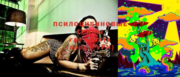 apvp Алексеевка