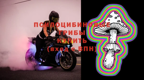дмт Новозыбков