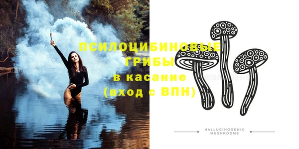 дмт Новозыбков